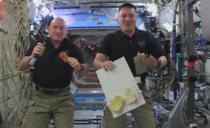 (VIDEO) EVO KAKO SE PEČE ĆURKA U SVEMIRU: Astronauti proslavili praznik na originalan način
