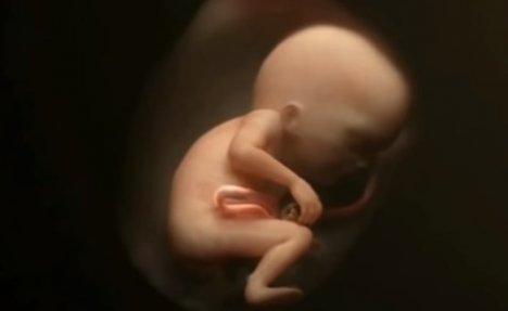 (VIDEO) FASCINANTAN POSTUPAK: Ovako nastaje beba i razvija se 9 meseci u maminom stomaku