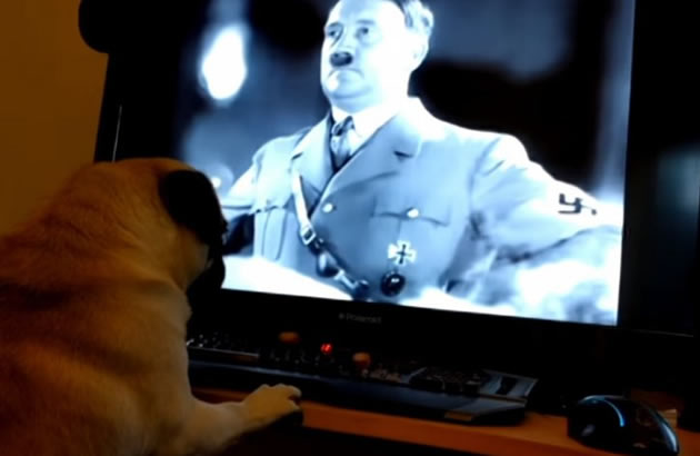 (VIDEO) PAS NACISTA Naucio je svog ljubimca da imitira Adolfa Hitlera