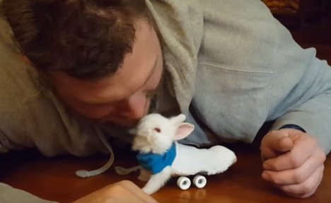 (VIDEO) Pronašao je paralizovanog zeku, a onda je učinio neverovatnu stvar za njega