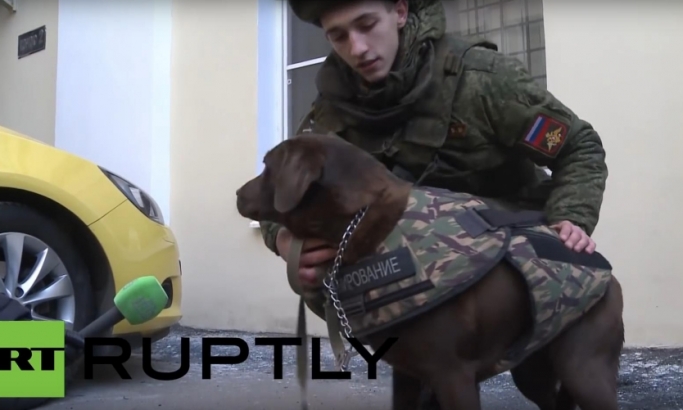 VIDEO: Ruski psi dobili pancire