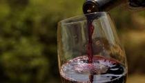 Vesić otvorio sedmi Festival srpskih vina u Lazarevcu