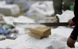 
					Vijesti: U luci Bar pronađeno 30 kilograma kokaina 
					
									