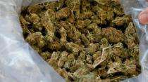 Zaplena marihuane na Horgošu