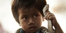 Zašto se mala deca ne plaše zmija?
