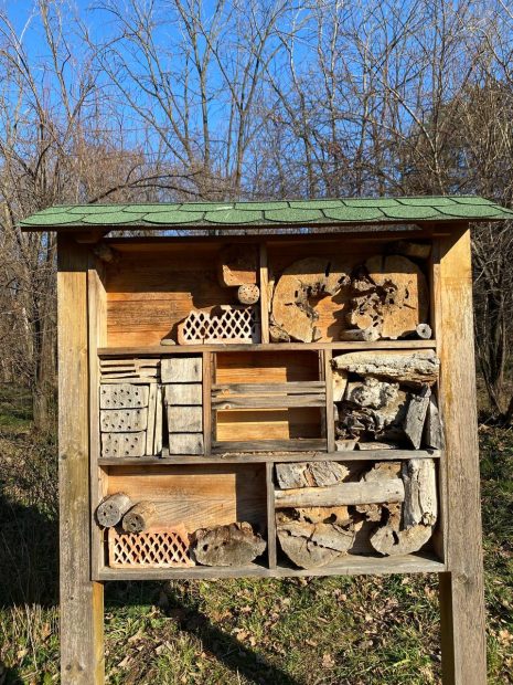 Хотел за инсекте отворен у Каменичком парку: Гостију увек има, а ево како изгледа и коме је намењен (ФОТО)