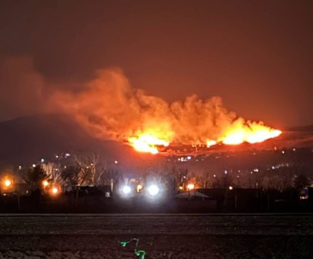 Велики пожар на Фрушкој гори Ватрогасне екипе на терену (ВИДЕО/ФОТО)