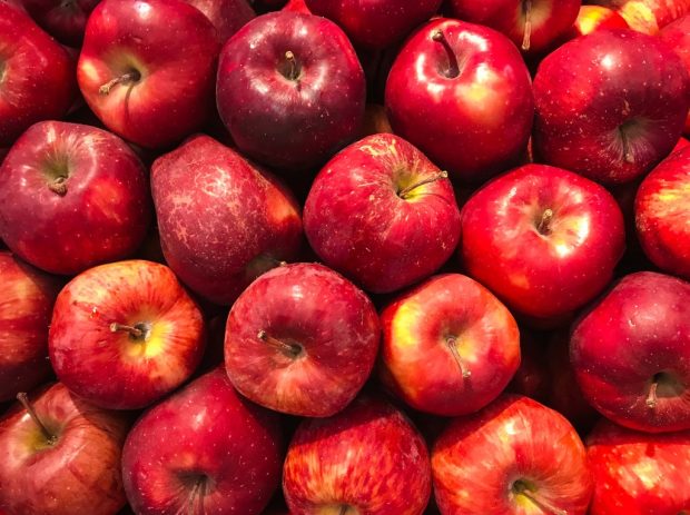 Још се узгаја најстарија јабука на свету