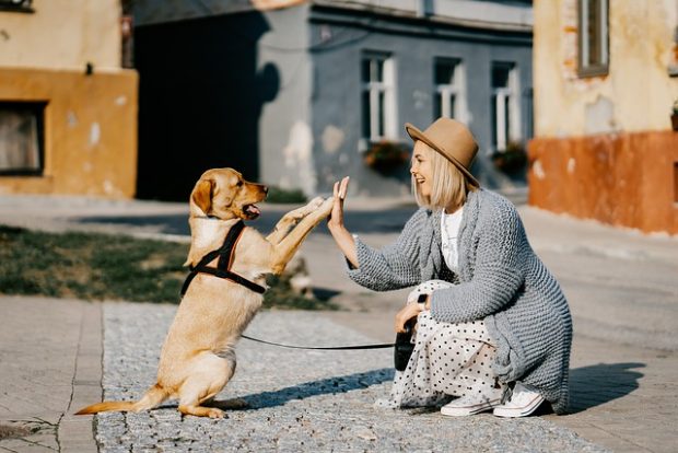 Зашто су пси тако срећни када нас виде?