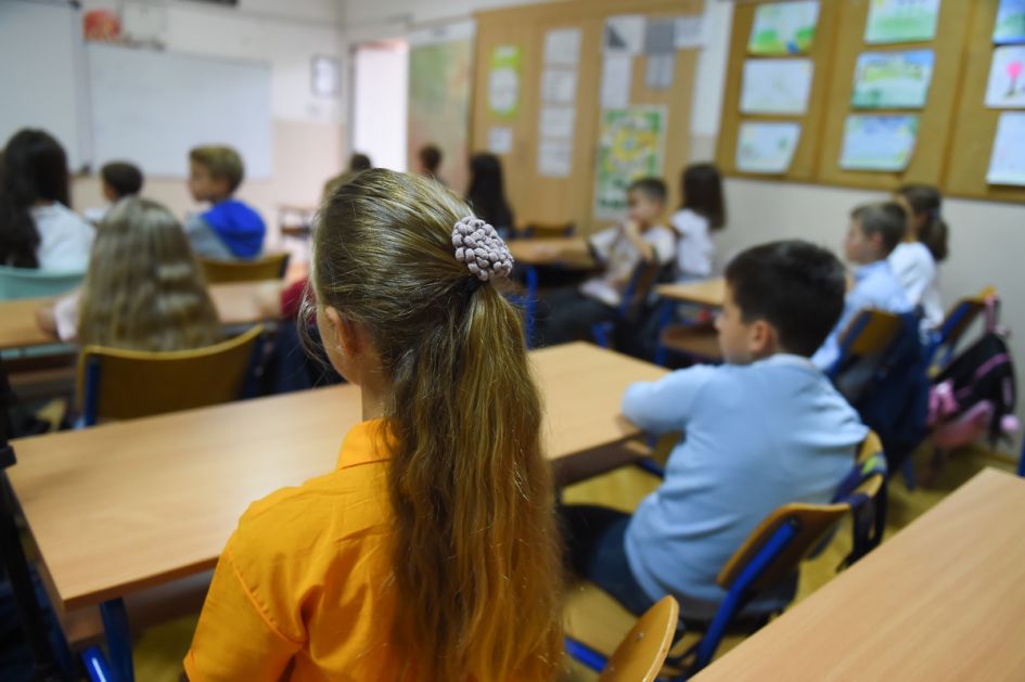 Чадеж: Највећи светски стручњак помаже Србији у дуалном образовању