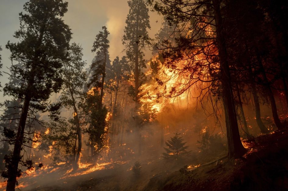 Грчка подигла ниво опасности од избијања шумских пожара