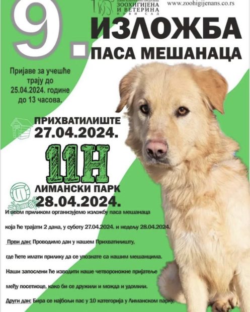 Важни датуми за ваше љубимце: Девета по реду изложба паса мешанаца у Лиманском парку и Прихватилишту- ово су услови такмичења (ФОТО)