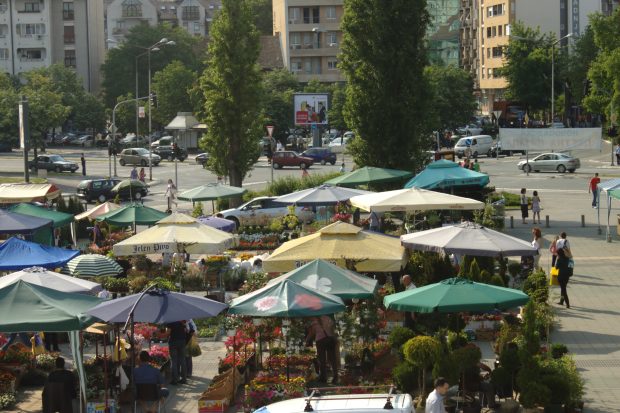 Препоруке са Цветне пијаце – Лаке су за одржавање, а улепшаће свако двориште