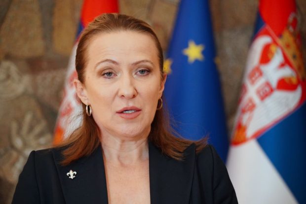 Пауновић на Дринској регати: Овакве манифестације чувају традицију и доносе напредак
