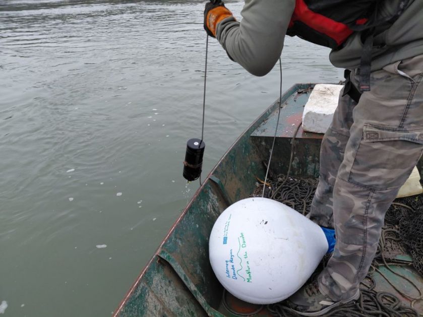 ПРВИ РЕЗУЛТАТИ ПРАЋЕЊА КЕЧИГА НА ДУНАВУ- СИГНАЛИ РЕГИСТРОВАНИ И КОД МАРИНОГ ПРУТА И ПУРИНЕ ЈАМЕ!