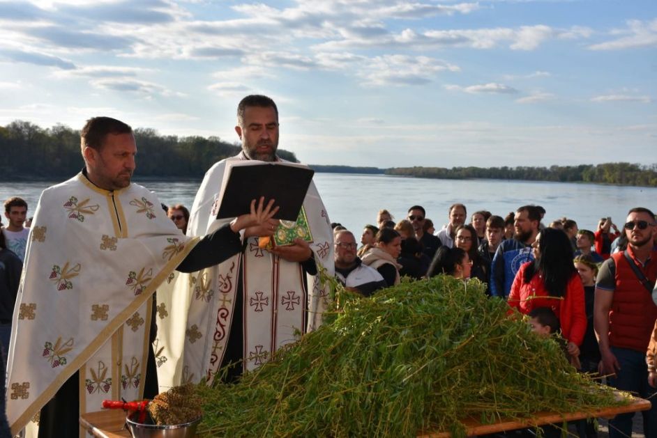 ВРБИЦА У АПАТИНУ