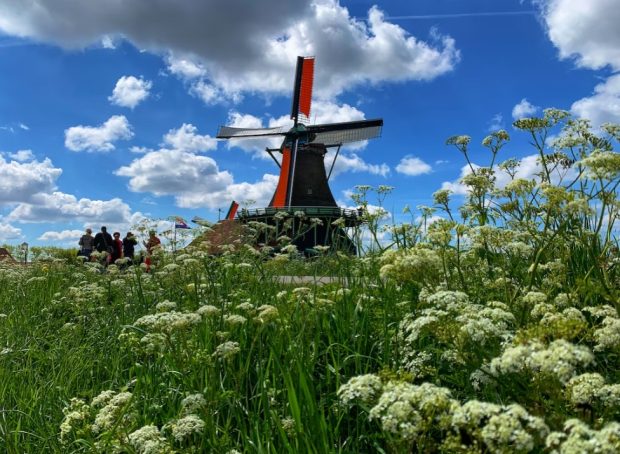 Европска комисија саветује Холандији да принудно откупи земљу од фармера