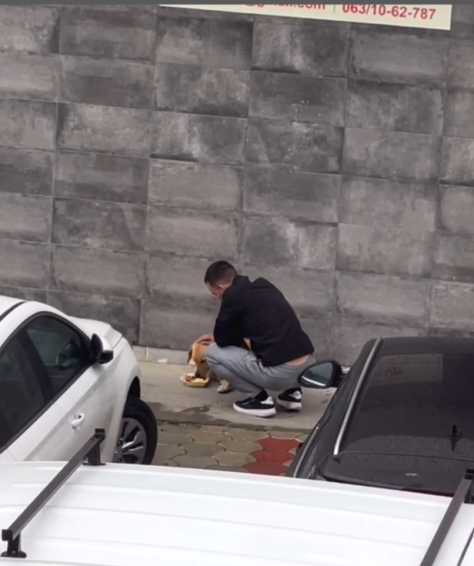 Прелеп гест једног суграђанина – уколико видите пса на улици, поступите овако! (ВИДЕО)