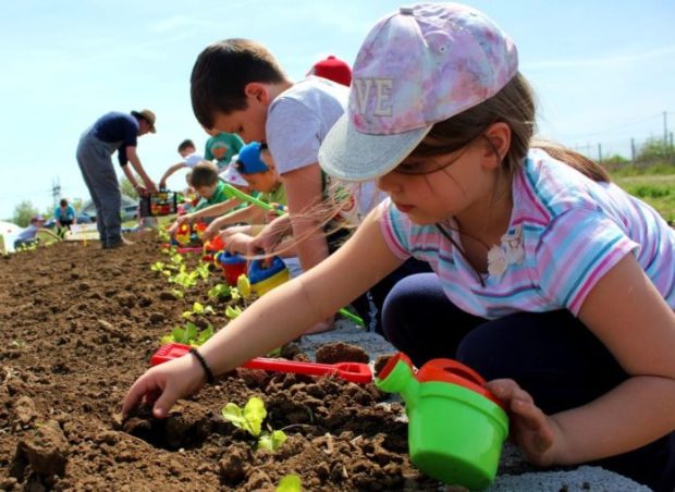 Пример другима стиже из Холандије: Деца у школи уче како се сади башта – свако има свој мали део о коме се брине (ФОТО)