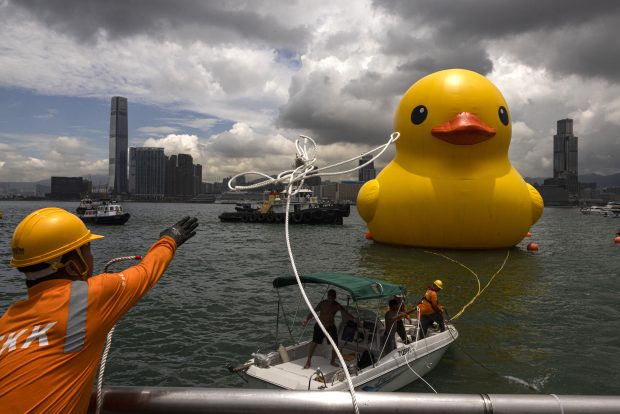 Две џиновске гумене патке, нова атракција у Хонгконгу (ФОТО)