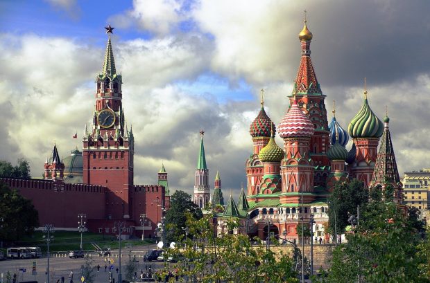 Русија прогласила Светски фонд за природу непожељним у земљи