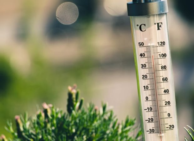 СМО упозорава на даљи раст температура у свету