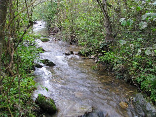 Чачак: Уз помоћ „Коридора“ решава се проблем изливања Бренсичке реке