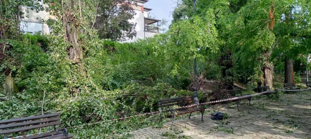 Због санације штете од орканске олује затварају се сви паркови у Новом Саду