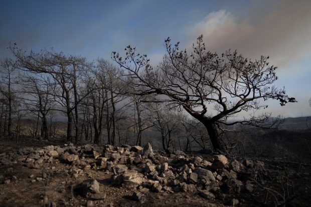 Грчка: Двоје мртвих у пожару у Велестину, и даље гори на Родосу