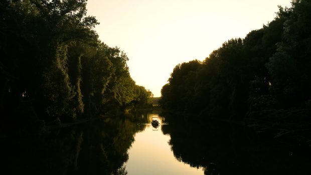 Амазонија усред Новог Сада: Како стићи до скривеног кутка нетакнуте природе на Дунаву? (ВИДЕО)