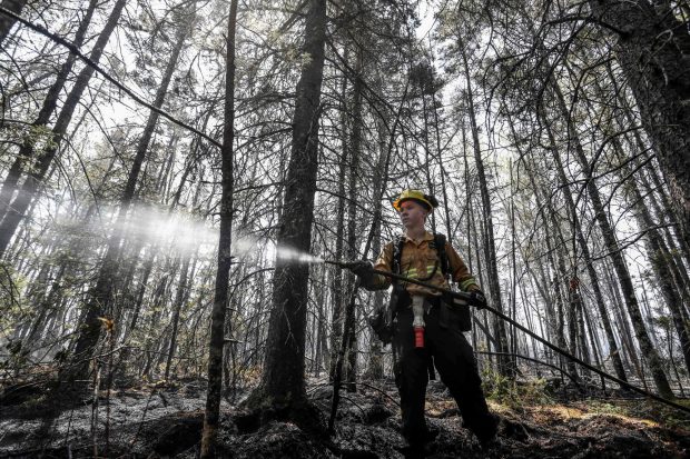 Хрватска: После више дана локализован велики шумски пожар на Чиову
