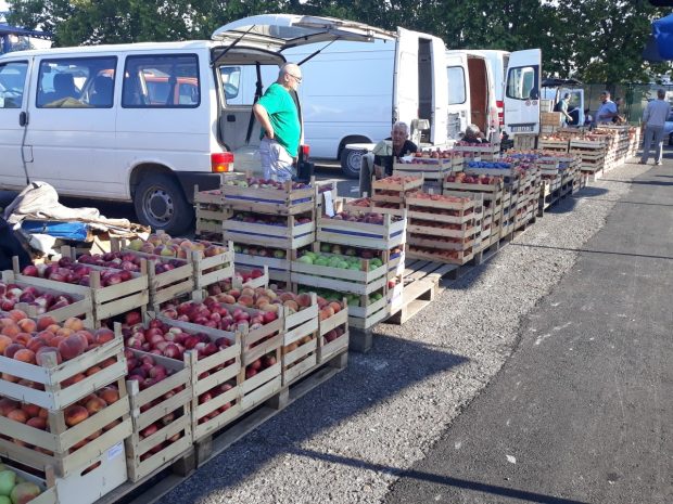 На Велетржници Београд највише се траже лубенице