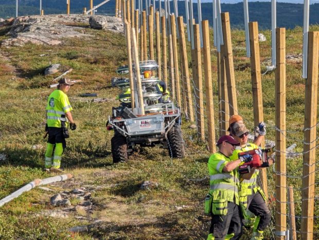 Норвешка ојачава граничну ограду са Русијом како би зауставила прелазе ирваса