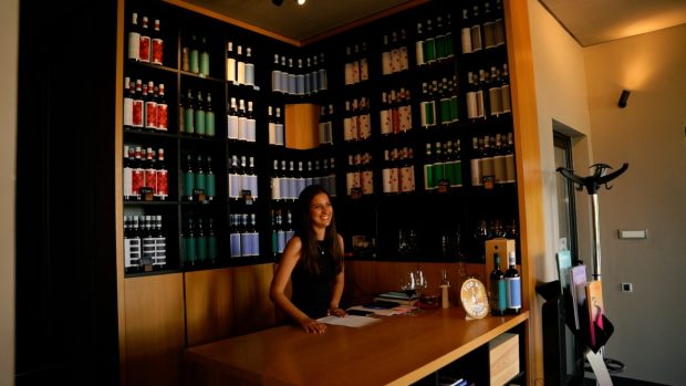 Трагом карловачких винарија, а у сусрет „Грожђебалу“: Погледајте како изгледају неке од најпознатијих карловачких винарија (ФОТО/ВИДЕО)