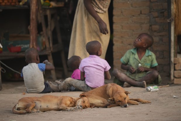 Зимбабве: Ванредно стање у Харареу због избијања колере