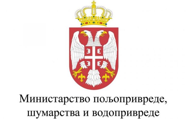 Министарство: До данас потврђено 1.363 случаја афричке куге свиња у Србији