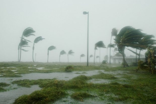 Број погинулих у урагану Ијан повећан на 103
