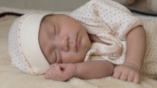 Радосне вести из Бетаније, Нови Сад богатији за 14 беба