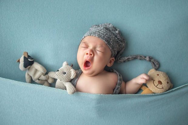 Радосне вести из Бетаније, Нови Сад богатији за 15 беба