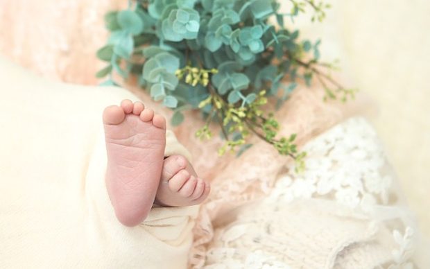 Радосне вести из Бетаније, Нови Сад богатији за 17 беба