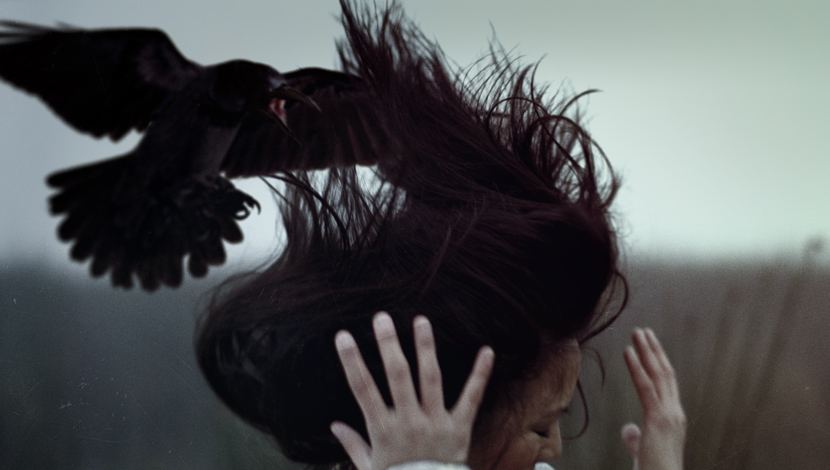 20.000 vrana napalo Hrvate, kljucaju im glave: Namnožile se pakleno, za najezdu ptičurina su krivi oni sami?! (FOTO)