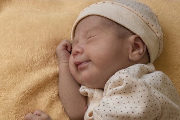 Радосне вести из Бетаније, Нови Сад богатији за 20 беба
