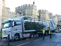 21.11.2016 ::: Božićni poklon za britansku kraljicu stigao je kamionom (FOTO)