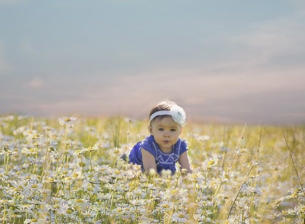 Радосне вести из Бетаније, Нови Сад богатији за 21 бебу