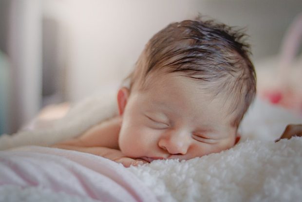 Радосне вести из Бетаније, Нови Сад богатији за 22 бебе