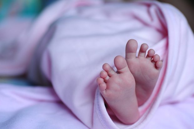 Радосне вести из Бетаније, Нови Сад богатији за 24 бебе
