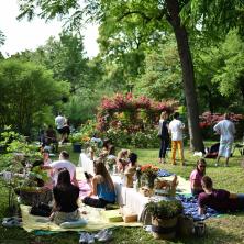 24Kitchen Piknik u Bašti: Gastronomsko-muzički vikend u Botaničkoj bašti