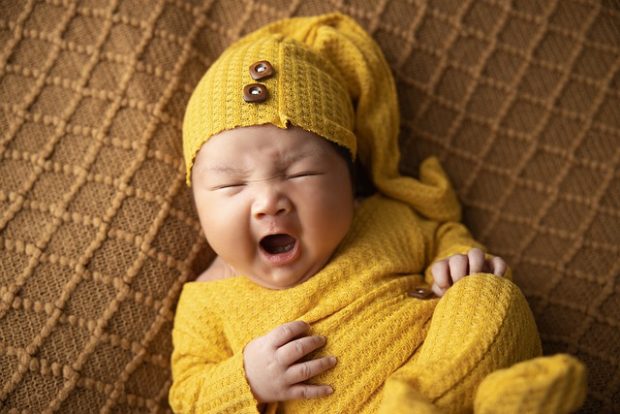 Радосне вести из Бетаније, Нови Сад богатији за 25 бебе