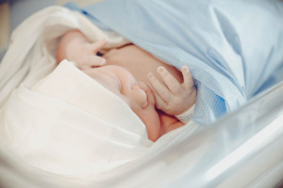 Радосне вести из Бетаније, Нови Сад богатији за 25 беба