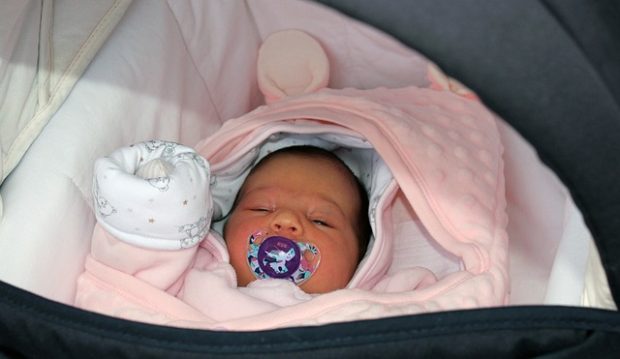 Радосне вести из Бетаније, Нови Сад богатији за 26 беба